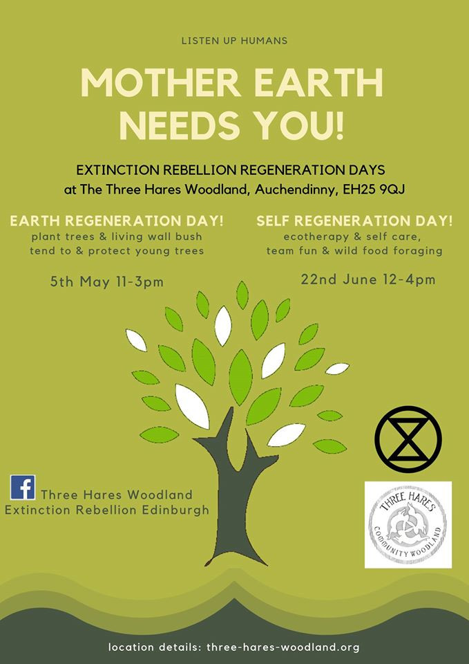 three hares earth regeneration