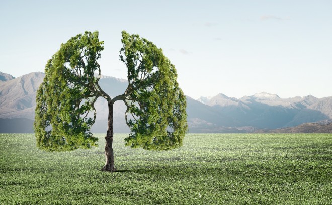 bigstock-Conceptual-image-of-green-tree-81093914-660x408